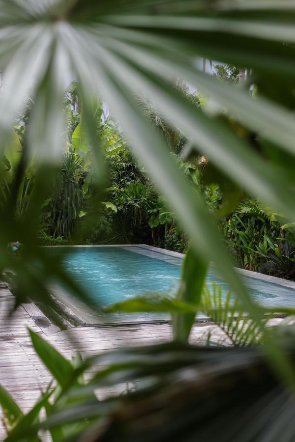 Surfing Temple Hotel Boutique جنرال لونا المظهر الخارجي الصورة